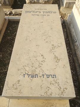 תמונת מצבה