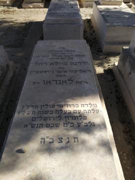 תמונת מצבה