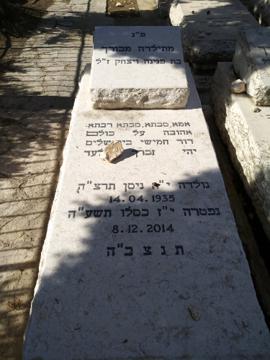 תמונת מצבה