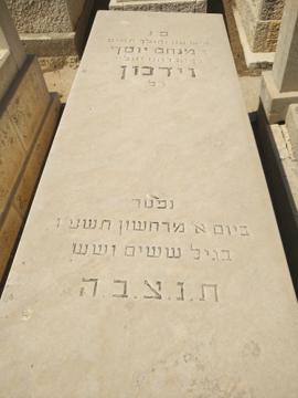 תמונת מצבה