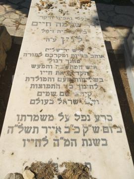 תמונת מצבה