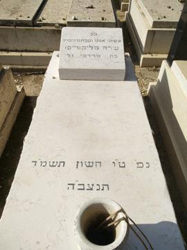 תמונת מצבה