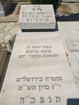תמונת מצבה