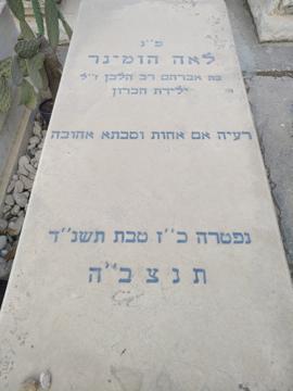 תמונת מצבה