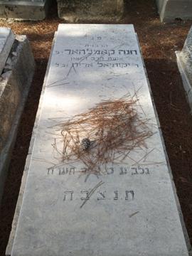 תמונת מצבה