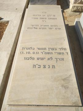 תמונת מצבה