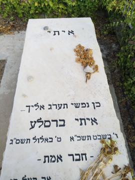 תמונת מצבה