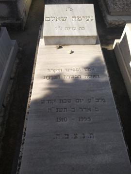 תמונת מצבה