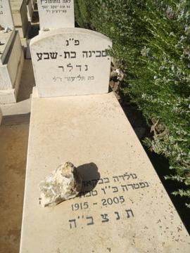 תמונת מצבה