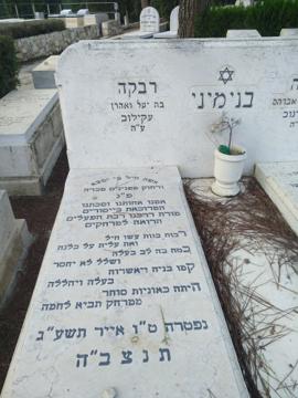 תמונת מצבה