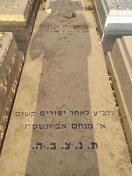 תמונת מצבה