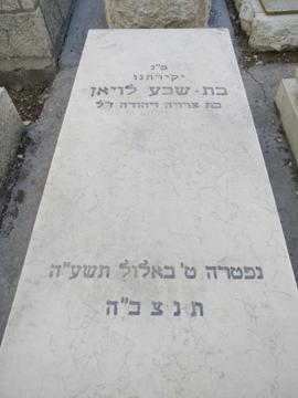 תמונת מצבה