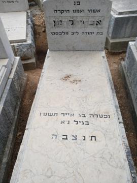 תמונת מצבה