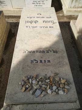 תמונת מצבה