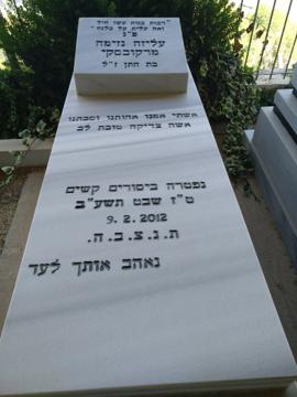 תמונת מצבה