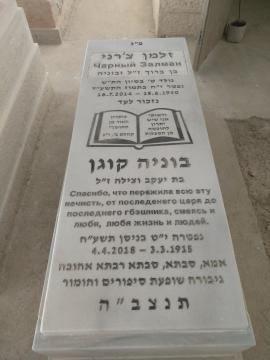 תמונת מצבה
