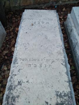 תמונת מצבה