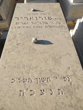 תמונת מצבה