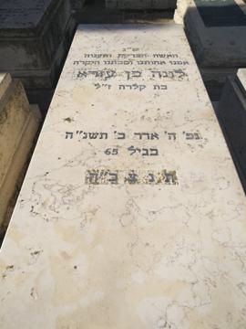 תמונת מצבה