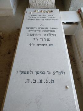 תמונת מצבה