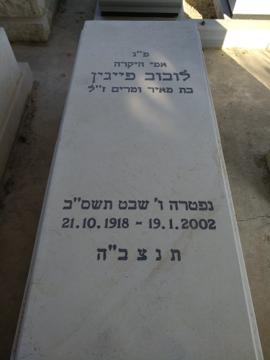 תמונת מצבה