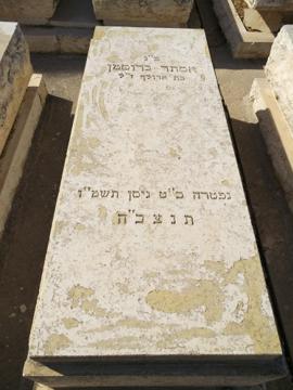 תמונת מצבה