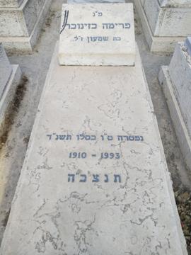 תמונת מצבה