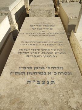 תמונת מצבה