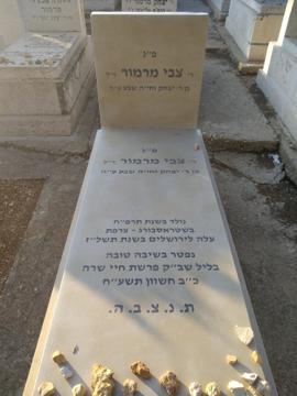 תמונת מצבה