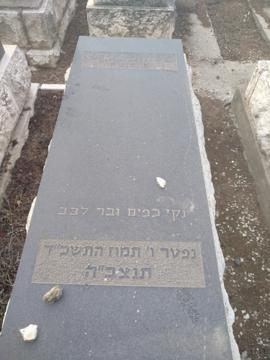 תמונת מצבה