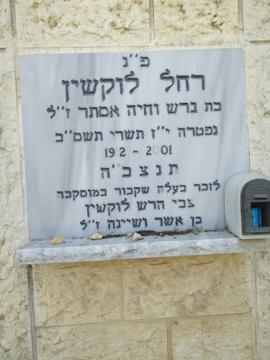 תמונת מצבה