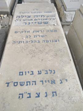 תמונת מצבה