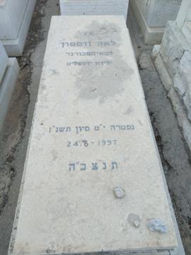 תמונת מצבה
