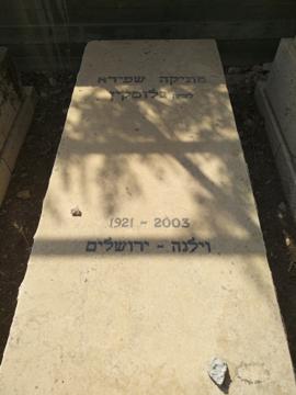 תמונת מצבה