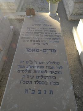 תמונת מצבה