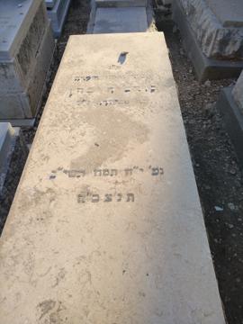 תמונת מצבה