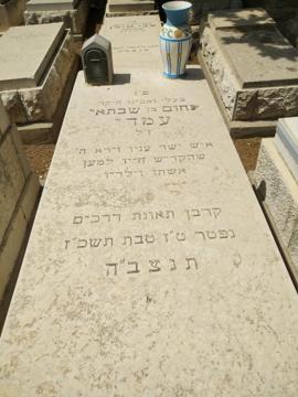 תמונת מצבה