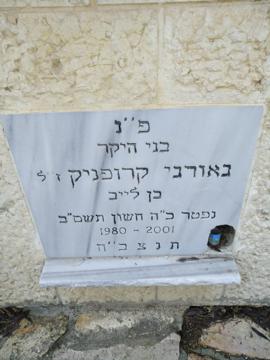 תמונת מצבה