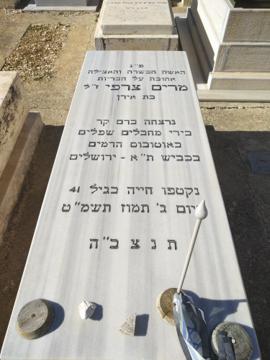 תמונת מצבה
