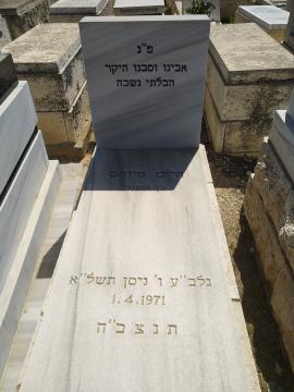 תמונת מצבה