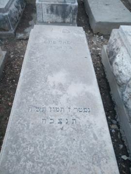 תמונת מצבה