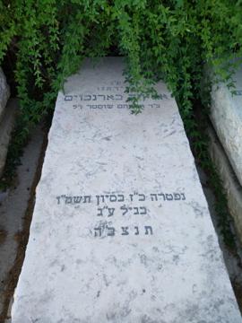 תמונת מצבה