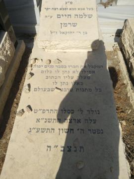 תמונת מצבה