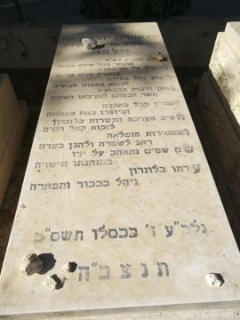 תמונת מצבה