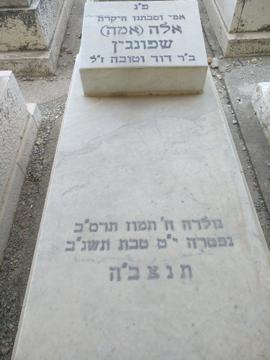 תמונת מצבה