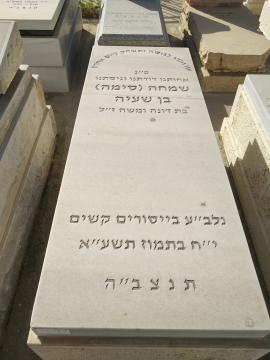תמונת מצבה