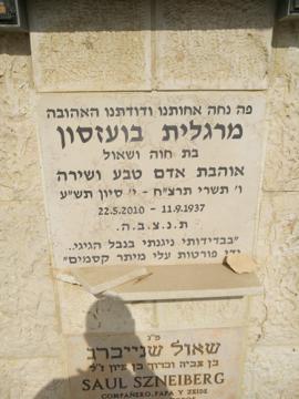 תמונת מצבה