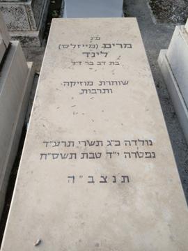 תמונת מצבה