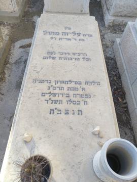 תמונת מצבה