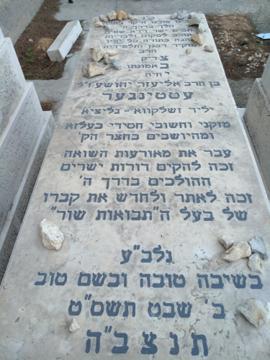 תמונת מצבה